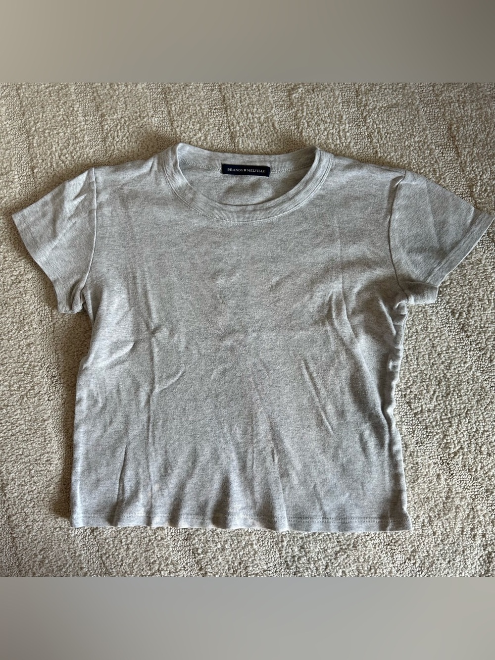 Brandy Melville Women’s Short Sleeve Baby Tee
